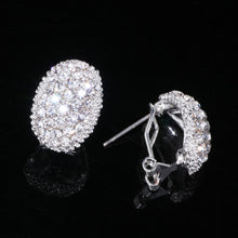 Load image into Gallery viewer, Classic Design Elegant AAA Cubic Zirconia Stone Stud Earrings
